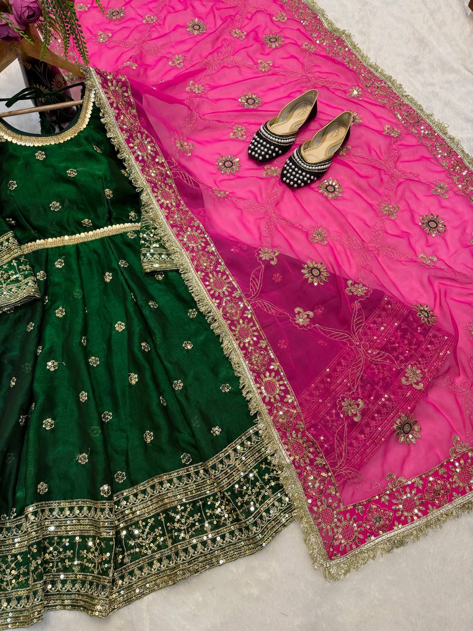 Editorial Rust & Pink Heavy Zari Set
